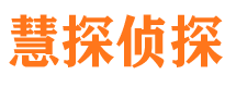 顺河侦探公司